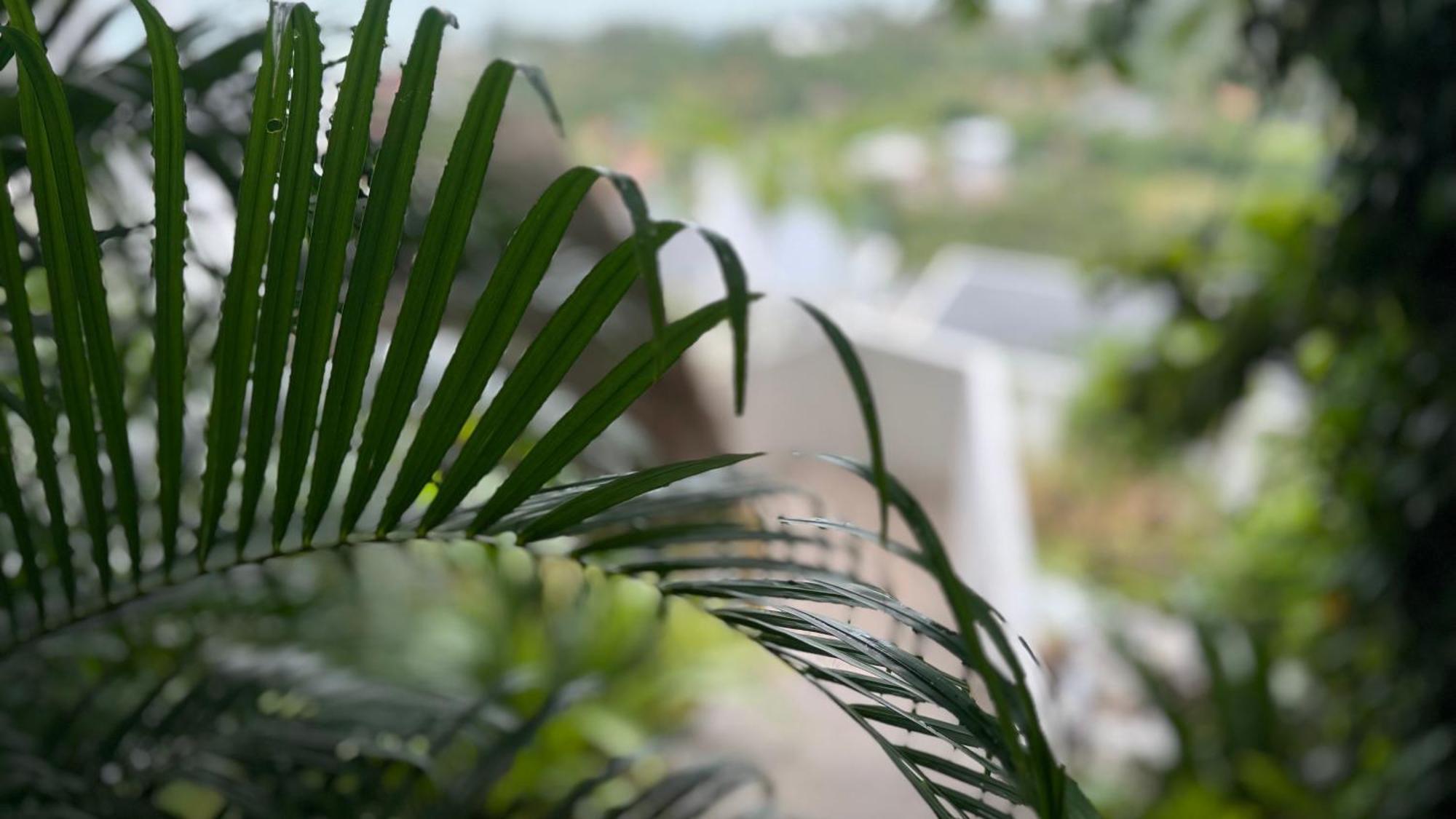 Anzhu Seamate Villa Samui Amphoe Koksamui Dış mekan fotoğraf